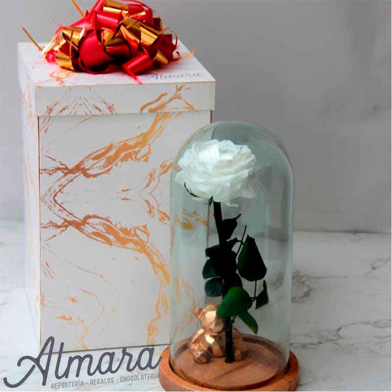 Rosa Preservada Deluxe Blanca Almara :: Reposteria - Regalos - Chocolateria  | Chocolates Pleasure | Cupcakes en Laureles